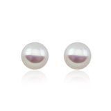 14k White Gold 12-13mm White High Metallic Luster Freshwater Cultured Pearl Stud Earring
