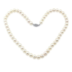 14k White Gold 7.0-7.5mm White with Ivory Akoya Cultured Pearl High Luster Necklace 18", AAA Quality.