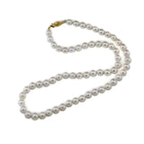14k Yellow Gold AAA 6.5-7.0mm White Akoya Cultured Pearl High Luster Necklace 18", with Stud Earring sets