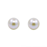 14K White Gold 6.0-6.5mm White Akoya Cultured Pearl Stud Earrings - AAA Quality