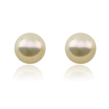 14k White Gold 12.0-13.0mm Light Golden High Metallic Luster Freshwater Cultured Pearl Stud Earring