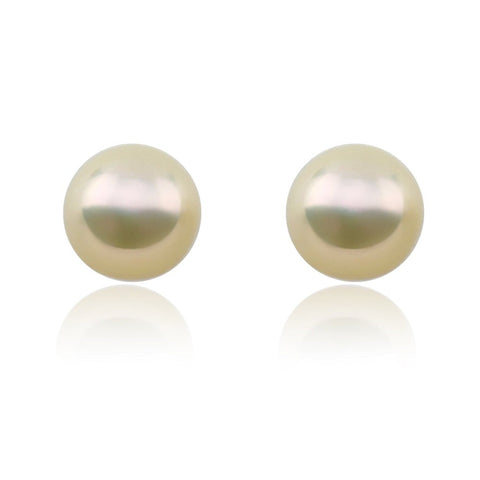 14k White Gold 12-13mm Light Golden High Metallic Luster Freshwater Cultured Pearl Stud Earring