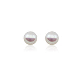 14k White Gold 7.0-8.0mm White Button Shape Freshwater Cultured Pearl High Luster Stud Earring.