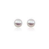 14k White Gold 10.0-11.0mm White Button Shape Freshwater Cultured Pearl High Luster Stud Earring.