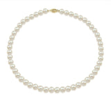 14k Yellow Gold 6.0-6.5mm White with Ivory Akoya Cultured Pearl High Luster Necklace 18", AAA Quality.