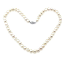 14k White Gold 6.0-6.5 mm White With Ivory Tone Akoya Cultured Pearl High Luster Necklace 18" Length