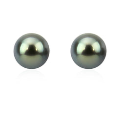 14K Yellow Gold 8.0-9.0mm Elegant Dark Grey Tahitian Cultured Pearl Stud Earrings - AAA Quality