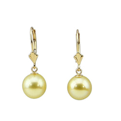 14k Yellow Gold 9.0-10.0mm Golden South Sea Cultured Pearl Lever-back Earrings-02- AAA Quality