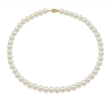 14K Yellow Gold 7.0-8.0mm White Freshwater Cultured Pearl Necklace, 17" Length - AAA Quality