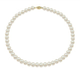 14K Yellow Gold 7.0-8.0mm White Freshwater Cultured Pearl Necklace, 17" Length - AAA Quality