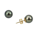 14K Yellow Gold 11-12mm Elegant Dark Grey Tahitian Cultured Pearl Stud Earrings - AAA Quality