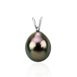 14K Gold 9.0-10.0mm AAA Quality Black Tahitian Cultured Pearl Pendant, Pendant Only (white-gold)