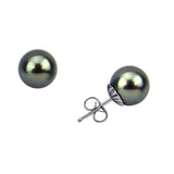 14K White Gold 8.0-9.0mm Elegant Dark Grey Tahitian Cultured Pearl Stud Earrings - AAA Quality