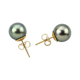14K Yellow Gold 9-10mm Tahitian Cultured Pearl Stud Earrings - AAA Quality