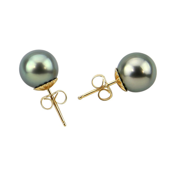 14K Yellow Gold 9-10mm Tahitian Cultured Pearl Stud Earrings - AAA Quality
