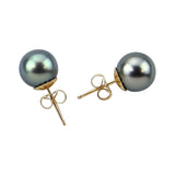 14K Yellow Gold 9-10mm Elegant Dark Grey Tahitian Cultured Pearl Stud Earrings - AAA Quality