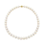 14k Yellow Gold 9.5-10.5 mm Freshwater Cultured Pearl High Luster Necklace 20", AAA Quality.