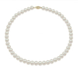 14K Yellow Gold 7.0-8.0mm White Freshwater Cultured Pearl Necklace 17" and Earrings Set, AAA Quality