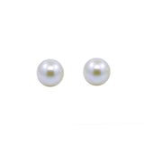 14k Yellow Gold Handpicked AAA Quality White Akoya Cultured Pearl Stud Earrings (7.0-7.5mm)