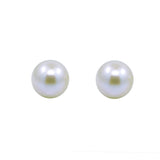 14K White Gold 5.0-5.5mm White Round Freshwater Cultured Pearl Stud Earrings - AAA Quality